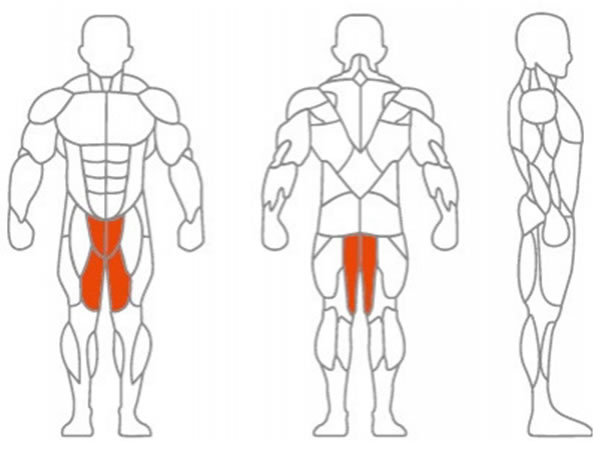 Músculo principal que se trabaja: los músculos del muslo, y los de la zona de la cadera