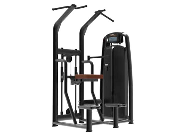 Máquina de musculación Assist Dip/Chin