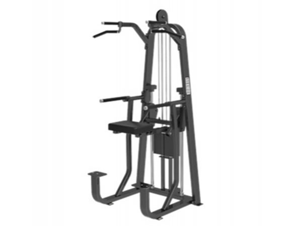Máquina de musculación Assist Dip/Chin