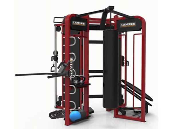 Aparejo para entrenamiento funcional / sinergia 360 LDM-10